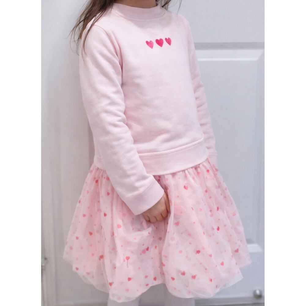 💙 Sz 4/5 CAT & JACK 💙 Pink Long Sleeve Bodice Red Heart Layered Skirt Dress